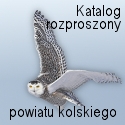Katalog Rozproszony Powiatu Kolskiego